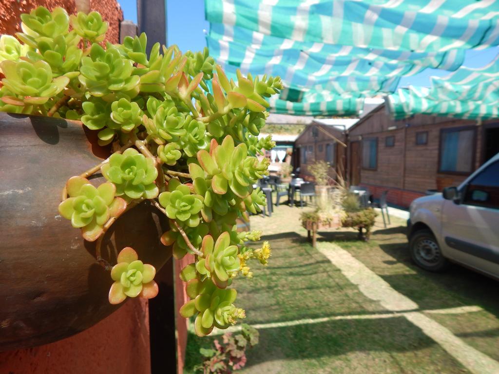 Hostal Del Suri Cafayate Exteriör bild